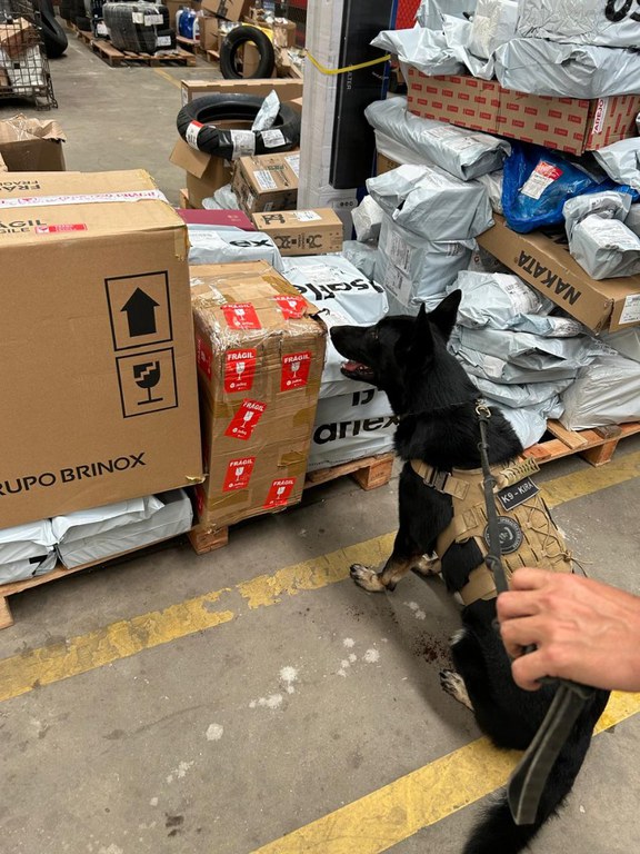 WhatsApp Image 2024-09-02 at 17.03.24.jpeg