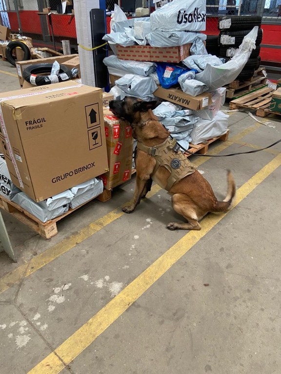 WhatsApp Image 2024-09-02 at 17.03.25.jpeg