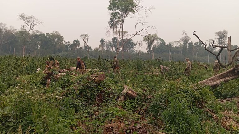 WhatsApp Image 2024-09-12 at 18.45.48.jpeg