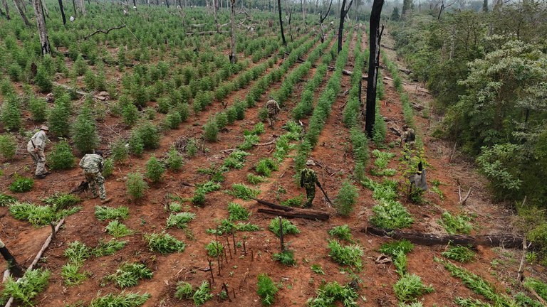 WhatsApp Image 2024-09-12 at 18.45.50.jpeg