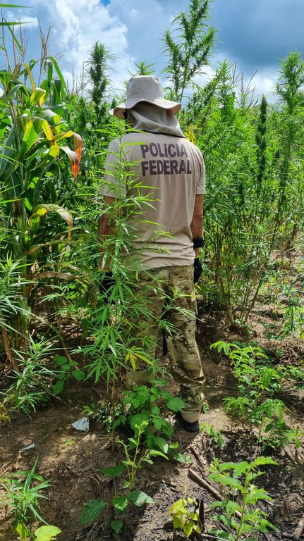 WhatsApp Image 2024-09-03 at 18.19.38.jpeg