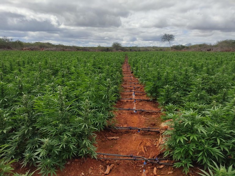 WhatsApp Image 2024-09-03 at 18.52.00.jpeg