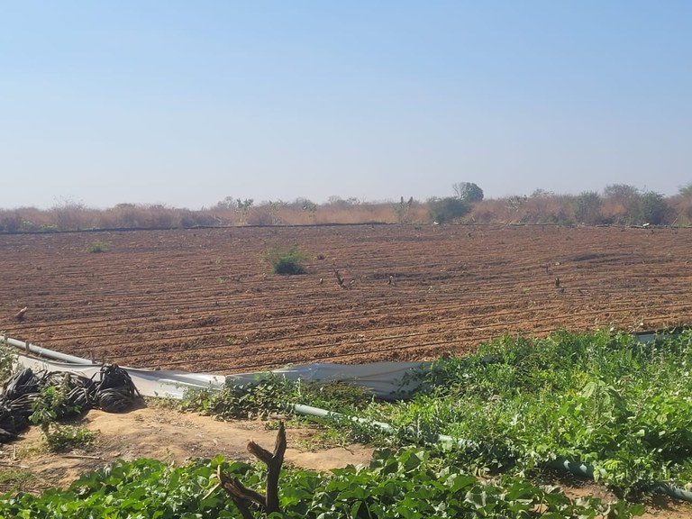 WhatsApp Image 2024-09-06 at 17.36.08.jpeg