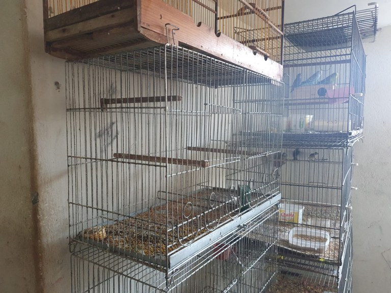 491785e6-c973-495d-9575-881e7347807b.jfif