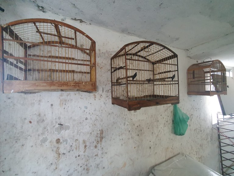 c82bd904-cbe8-4728-9896-54345ce39788.jfif