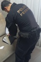 28a8dbd2-383f-4e41-94db-51a8bf198081.jfif