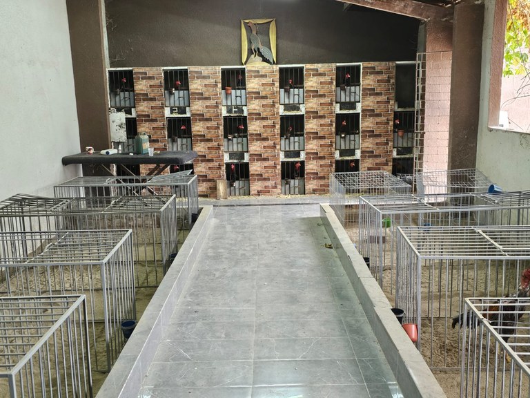 WhatsApp Image 2024-12-06 at 15.31.38.jpeg