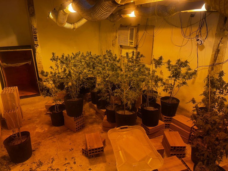 WhatsApp Image 2025-01-22 at 16.40.41 (1).jpeg