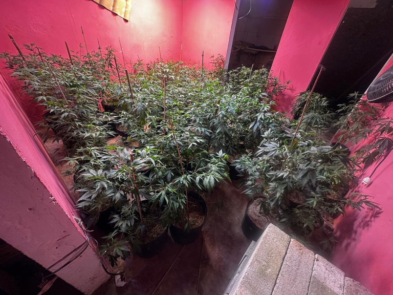 WhatsApp Image 2025-01-22 at 16.40.41.jpeg