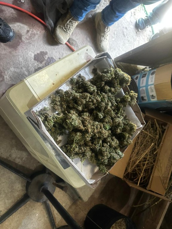 WhatsApp Image 2025-01-22 at 16.40.42.jpeg