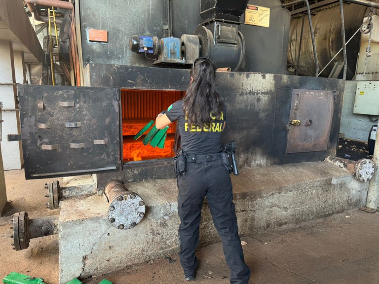 WhatsApp Image 2025-01-23 at 10.00.38 (1).jpeg