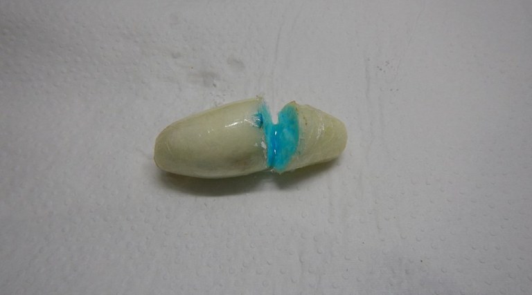 WhatsApp Image 2025-01-23 at 07.48.34.jpeg