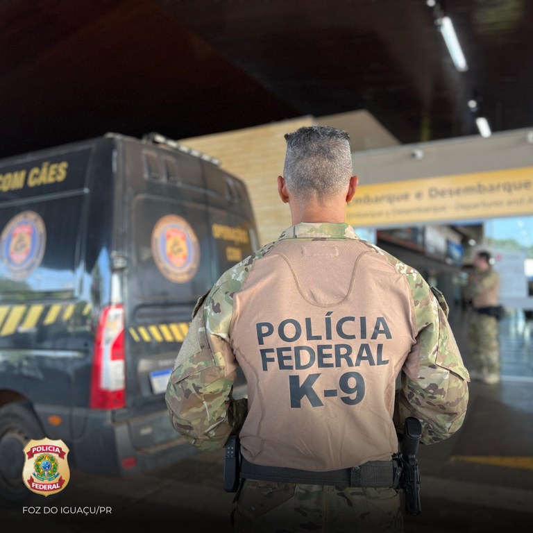 c9c1b460-cc71-4b60-9bc0-e6c6171ed227.jfif