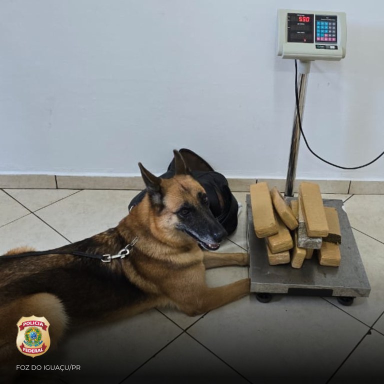 ee5958d8-ea4a-468e-a2eb-835bebd845b3.jfif