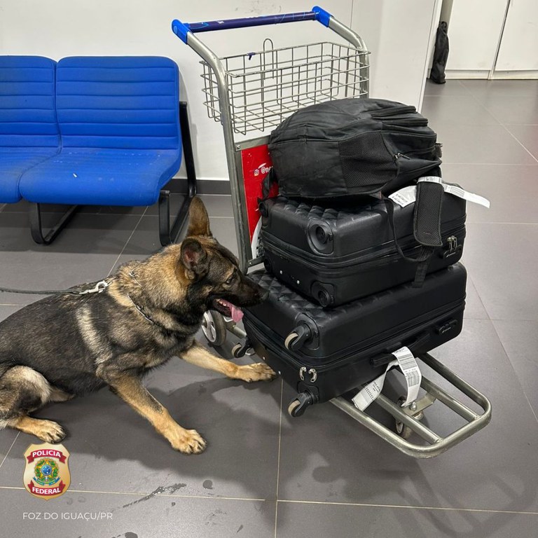 WhatsApp Image 2025-02-06 at 09.40.41.jpeg