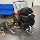 WhatsApp Image 2025-02-06 at 09.40.41.jpeg