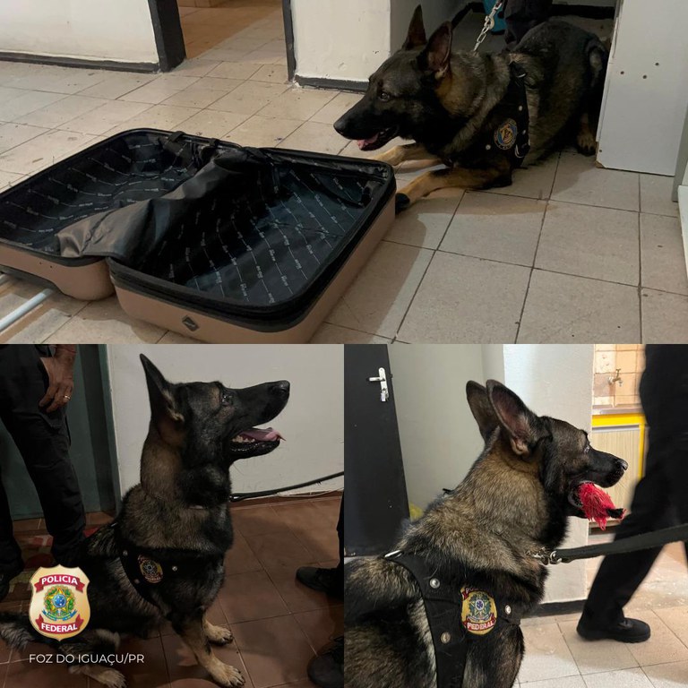 WhatsApp Image 2025-02-26 at 11.55.12 (1).jpeg