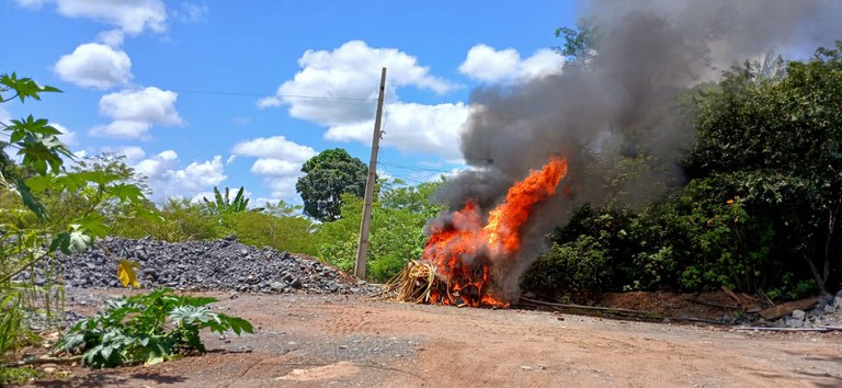 WhatsApp Image 2025-02-28 at 23.26.34.jpeg