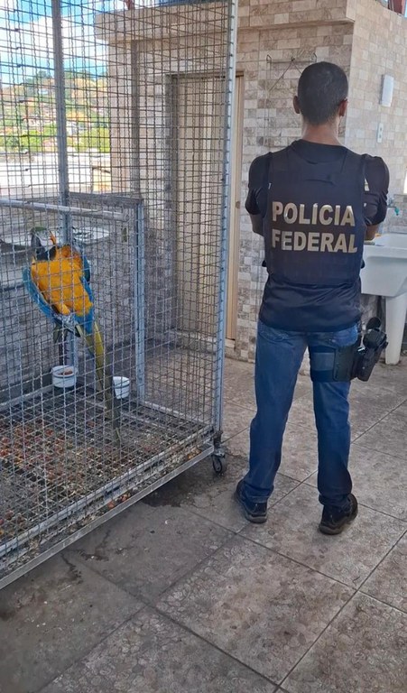 WhatsApp Image 2025-02-25 at 17.41.53 (1).jpeg