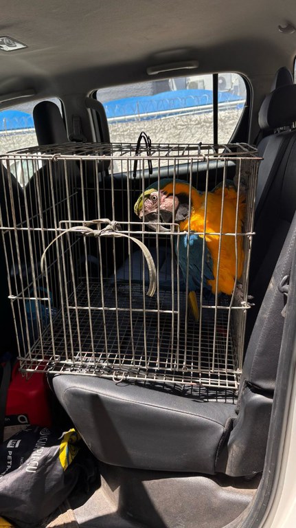 WhatsApp Image 2025-02-25 at 17.41.53.jpeg