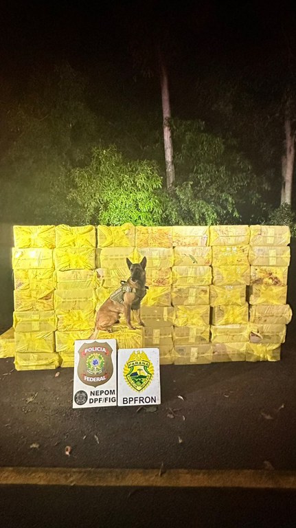 WhatsApp Image 2025-02-09 at 11.47.26.jpeg