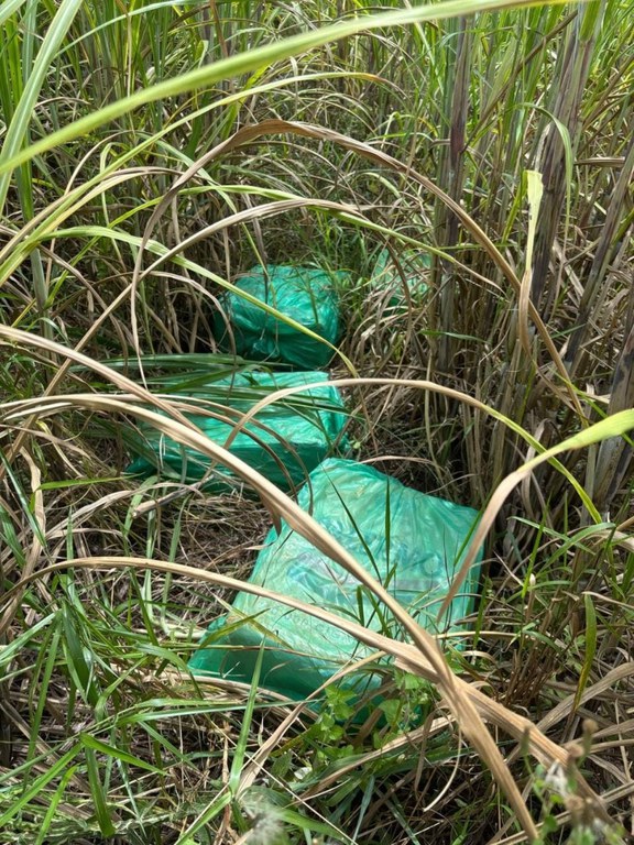 WhatsApp Image 2025-02-28 at 18.29.55.jpeg