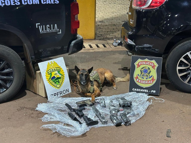 WhatsApp Image 2025-02-05 at 17.17.00.jpeg