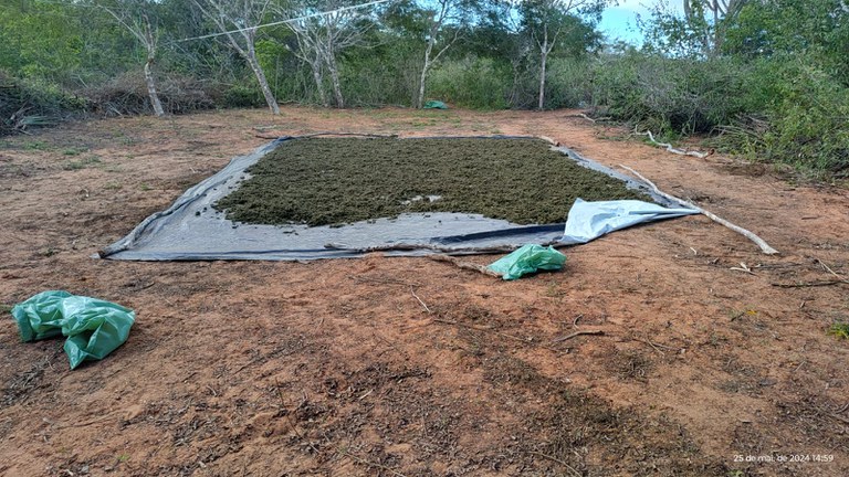 WhatsApp Image 2025-02-23 at 20.24.58.jpeg