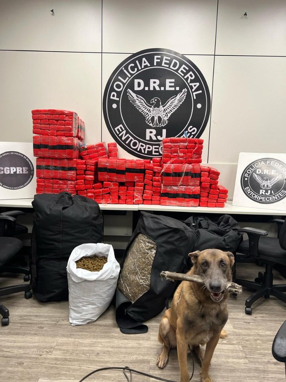 WhatsApp Image 2025-02-26 at 07.16.39.jpeg