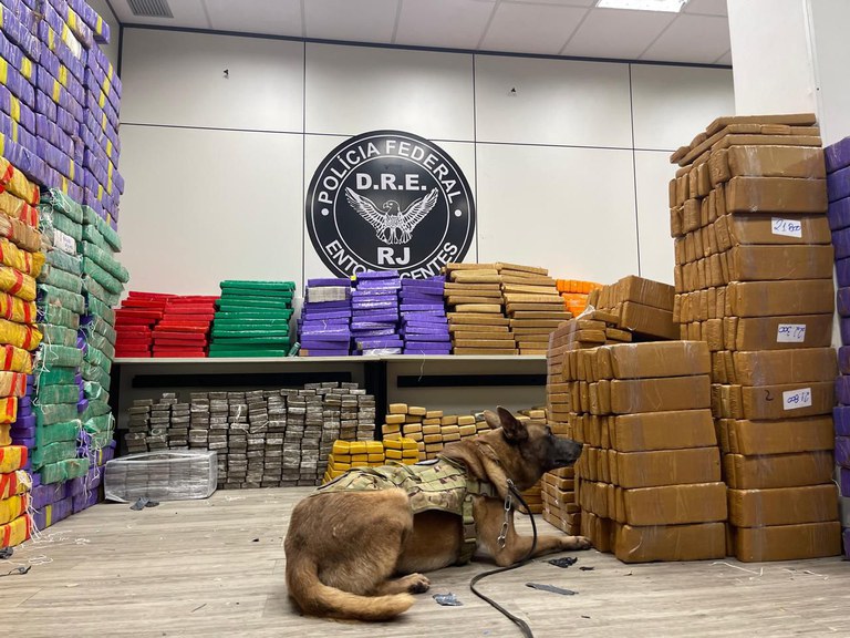 WhatsApp Image 2025-02-01 at 18.38.15.jpeg