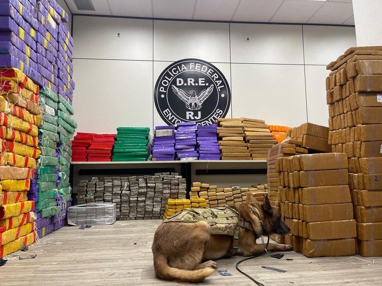 WhatsApp Image 2025-02-01 at 18.38.18.jpeg