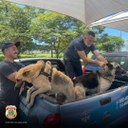 WhatsApp Image 2025-02-25 at 12.31.42.jpeg