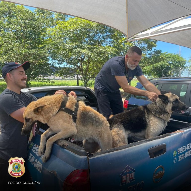 WhatsApp Image 2025-02-25 at 12.31.42.jpeg