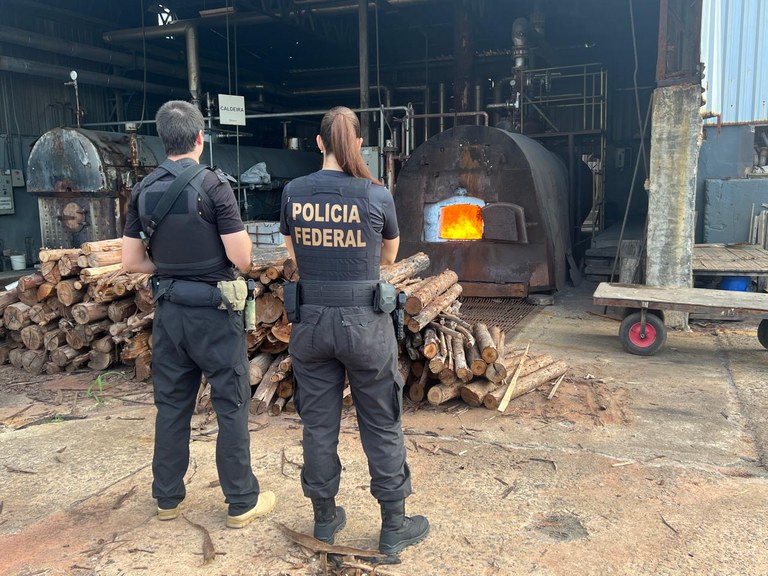 WhatsApp Image 2025-02-14 at 08.35.54.jpeg