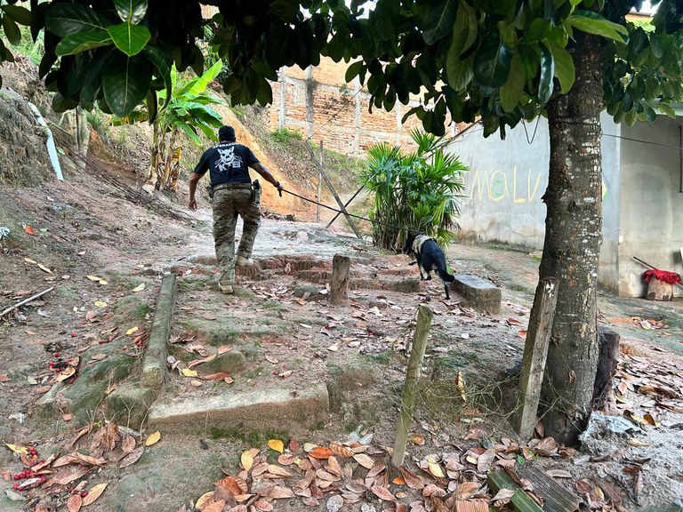 WhatsApp Image 2025-03-28 at 10.48.38.jpeg