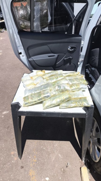 1f46c175-f3c4-4f43-b187-d3a0fdd22860.jfif