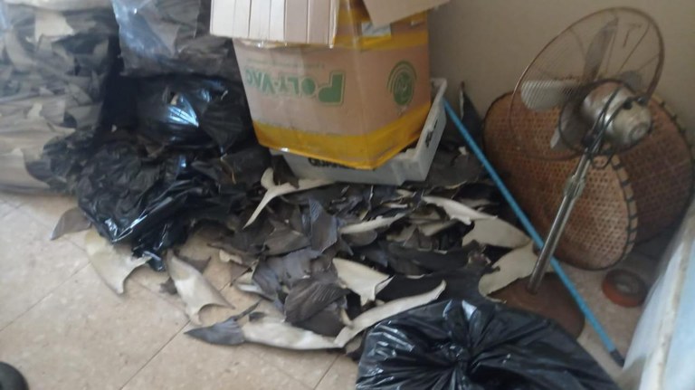 WhatsApp Image 2025-03-13 at 11.21.40.jpeg