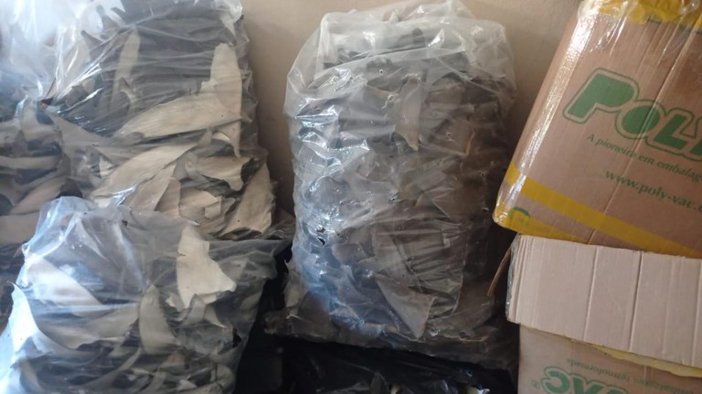 WhatsApp Image 2025-03-13 at 11.21.42 (1).jpeg