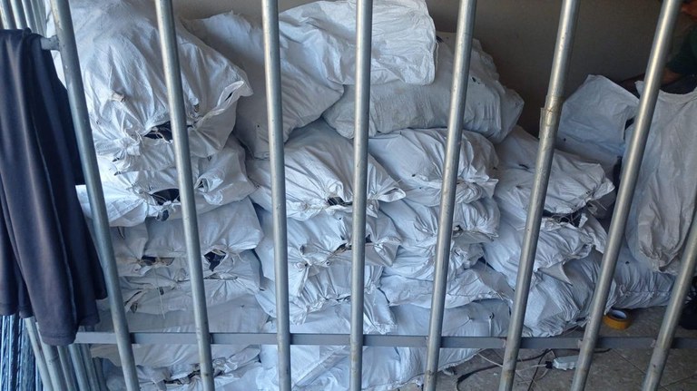 WhatsApp Image 2025-03-13 at 11.21.42.jpeg