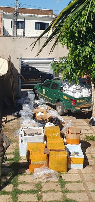 WhatsApp Image 2025-03-13 at 11.21.43 (1).jpeg