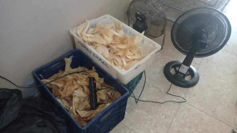 WhatsApp Image 2025-03-13 at 11.21.43.jpeg