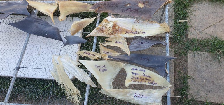 WhatsApp Image 2025-03-13 at 11.21.44.jpeg