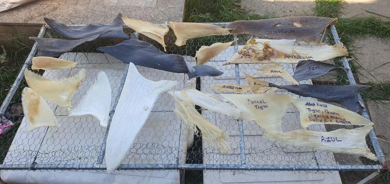 WhatsApp Image 2025-03-13 at 11.21.45 (1).jpeg