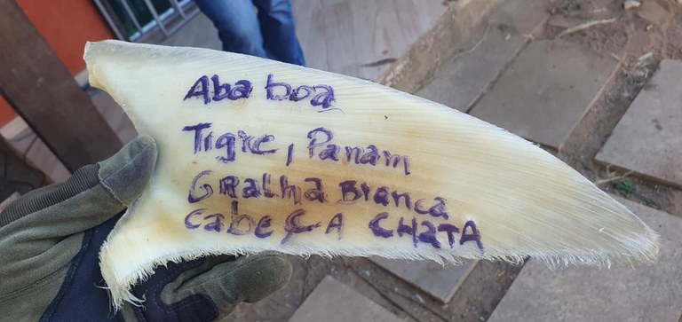 WhatsApp Image 2025-03-13 at 11.21.45.jpeg