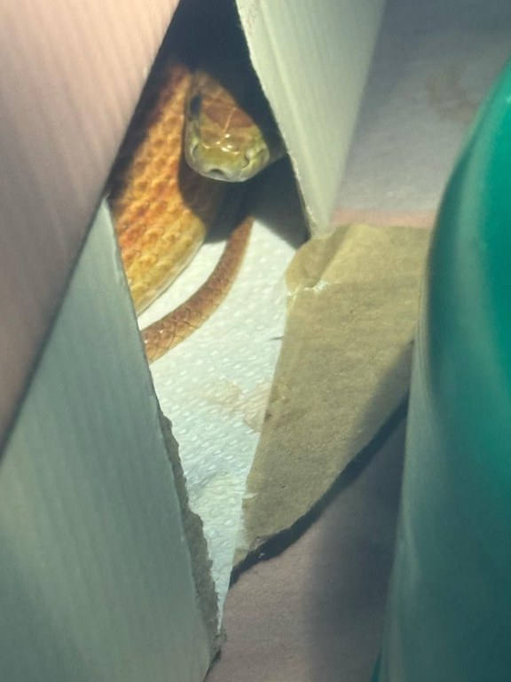 WhatsApp Image 2025-03-25 at 10.58.52.jpeg