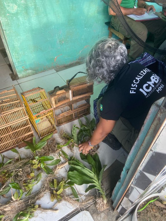 WhatsApp Image 2025-03-18 at 09.05.18 (1).jpeg