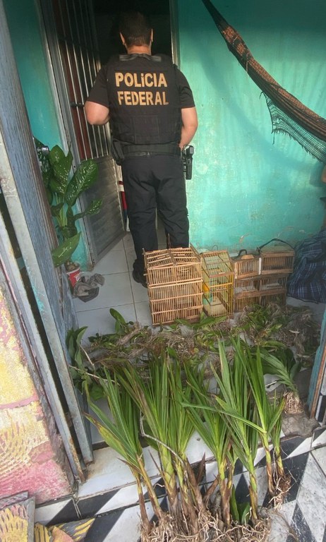 WhatsApp Image 2025-03-18 at 09.05.18.jpeg