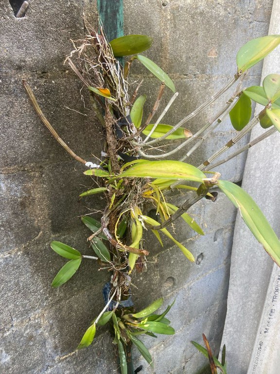 WhatsApp Image 2025-03-18 at 09.05.19 (1).jpeg