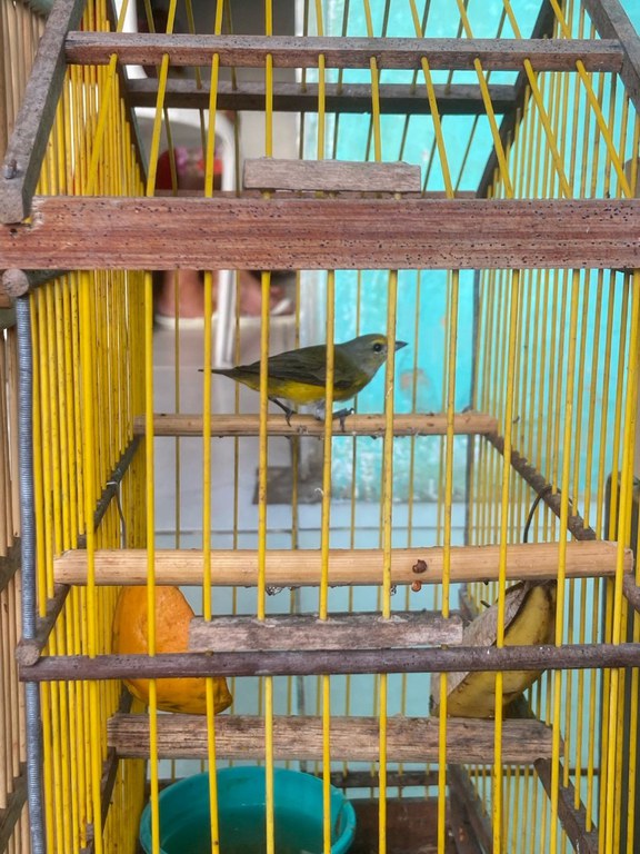 WhatsApp Image 2025-03-18 at 09.05.19.jpeg