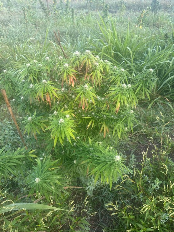 WhatsApp Image 2025-03-14 at 09.01.18 (1).jpeg